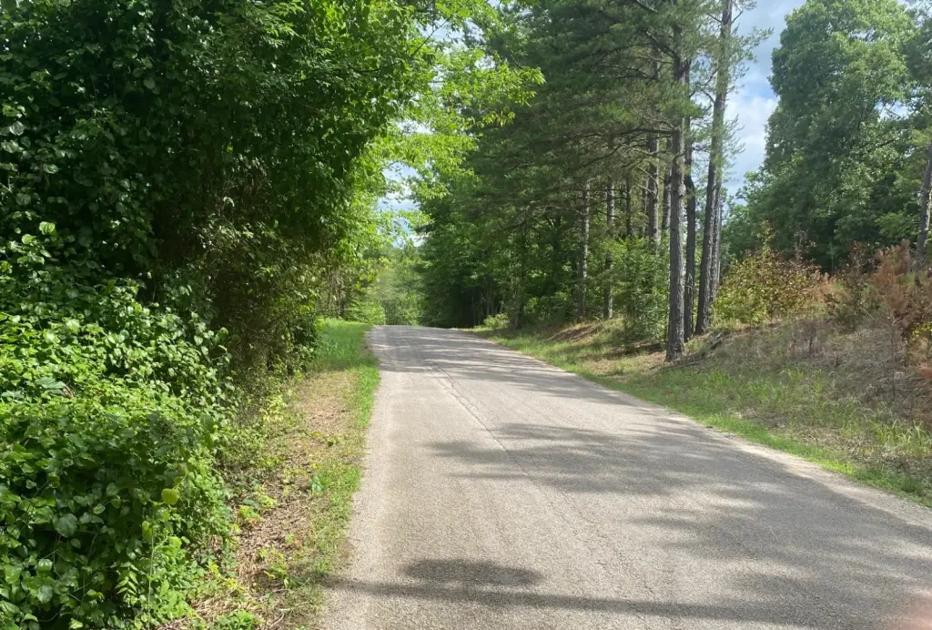 Picture 6