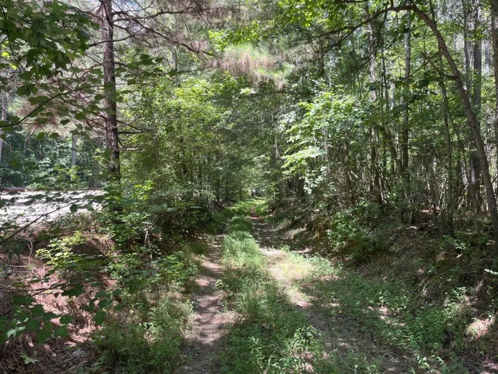 Picture 19