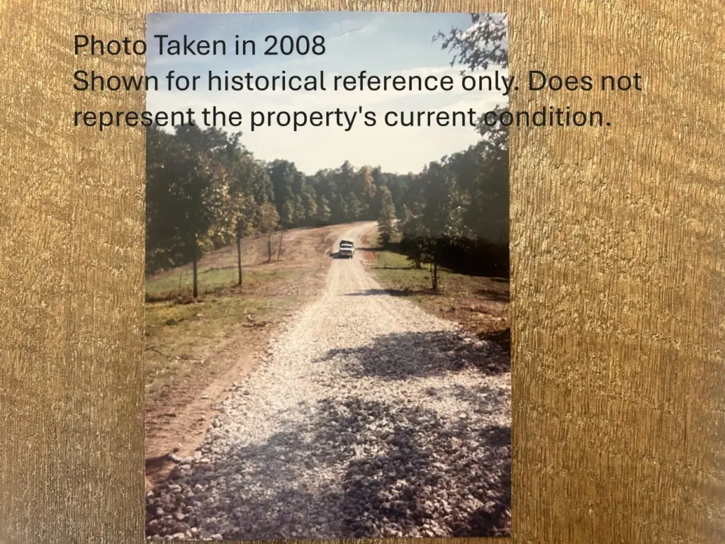 Picture 24