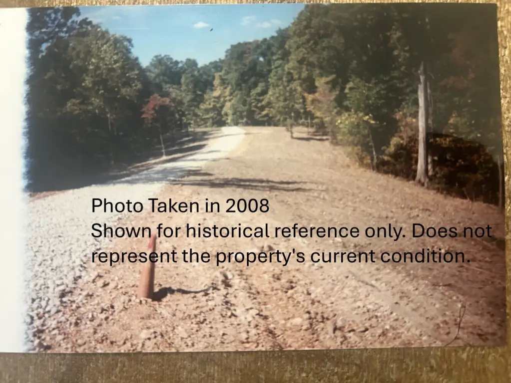 Picture 25
