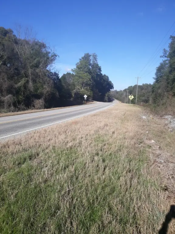 Picture 3