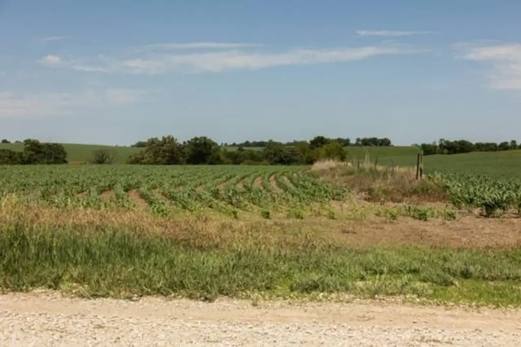 Picture 22