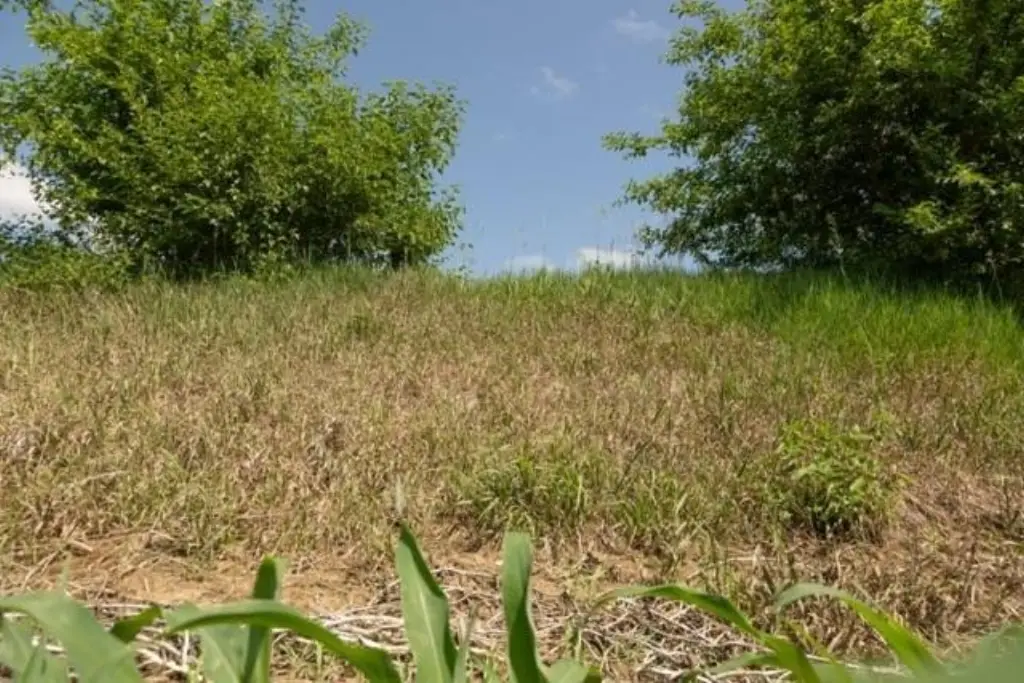 Picture 29