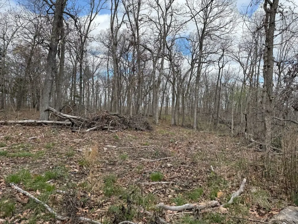 Picture 41