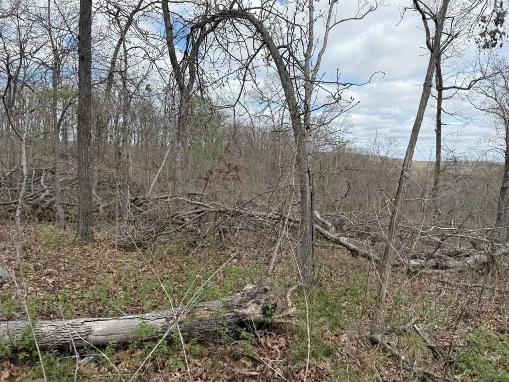 Picture 40