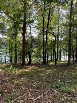 Waterfront Lot on Lake Naconiche