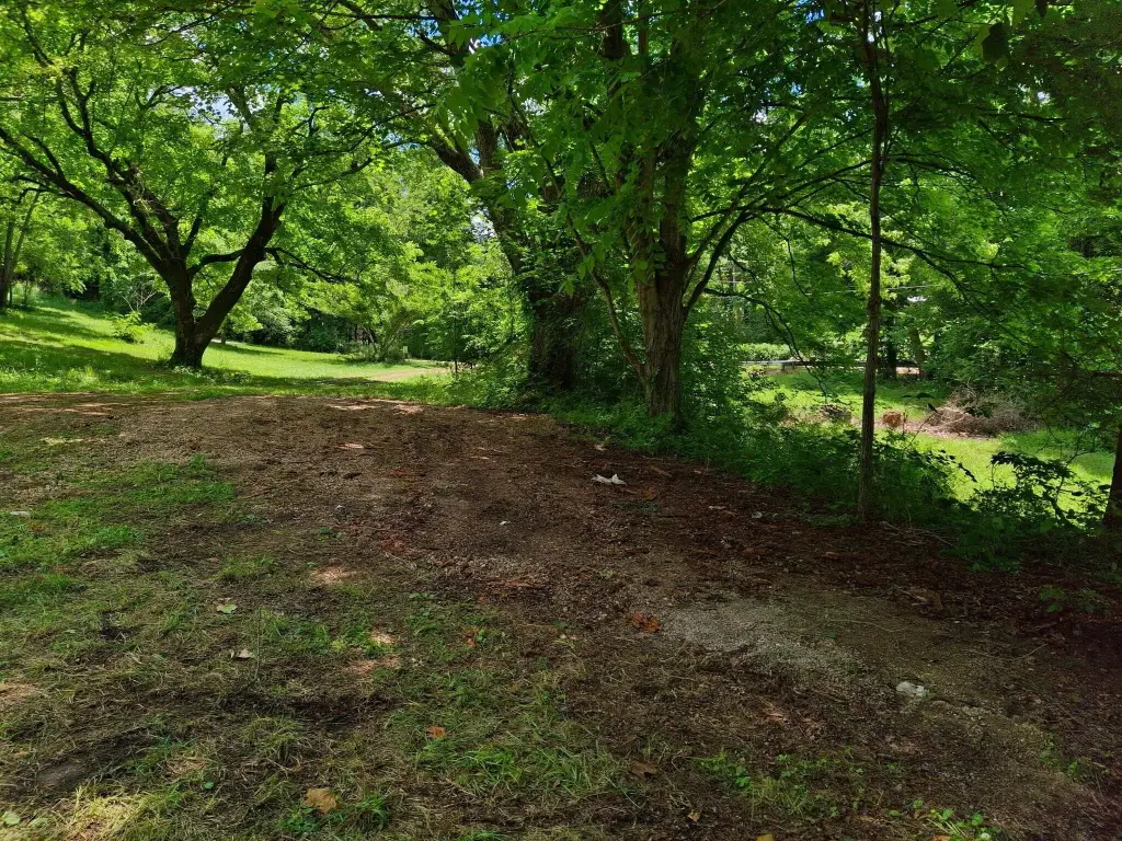 Picture 8