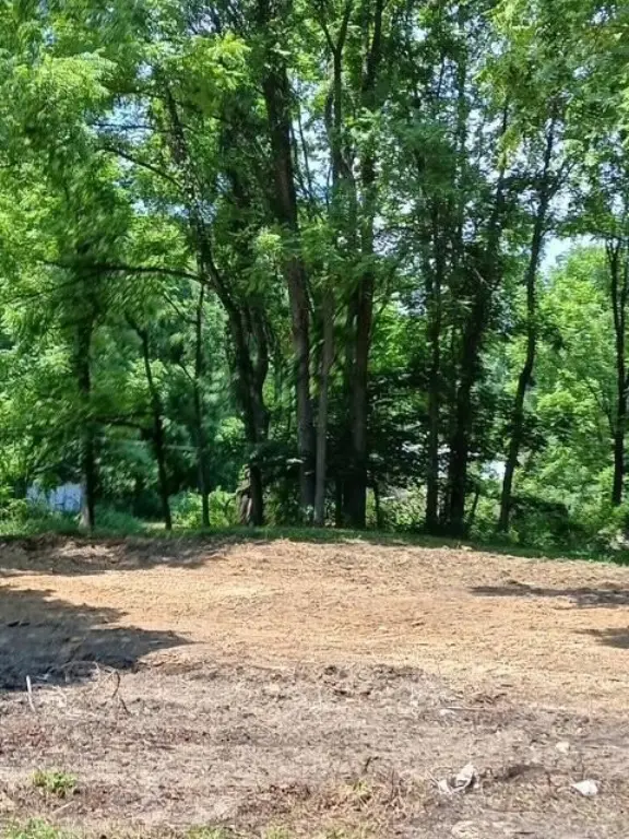 Picture 4