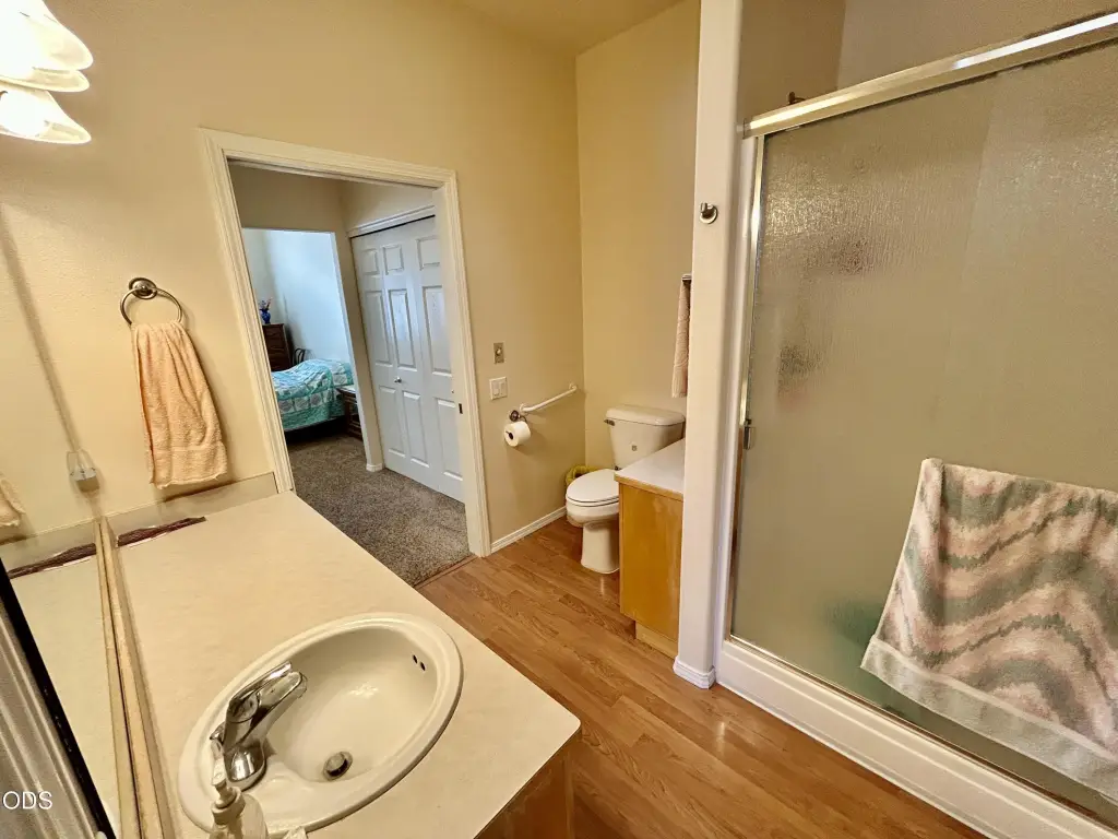 Picture 12
