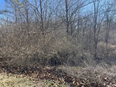 Crossville, TN Buildable Land