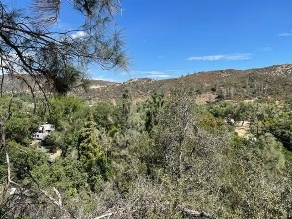 Picture 4