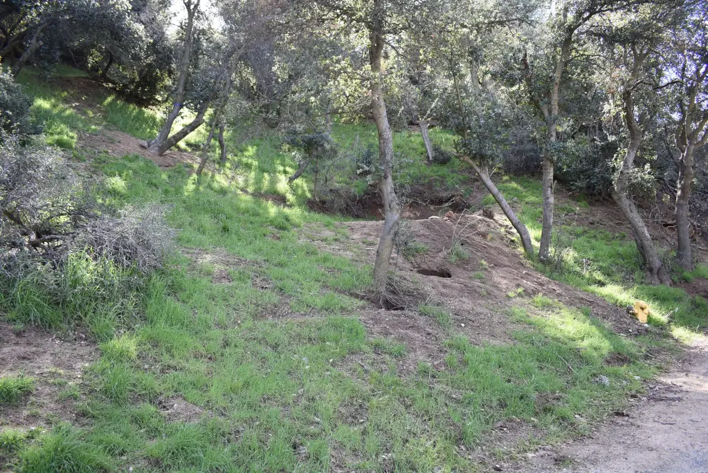 Picture 21