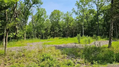 Cleared Building Lot in Marthasville