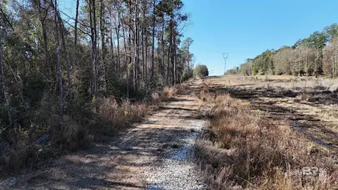 Saraland Land Investment Opportunity