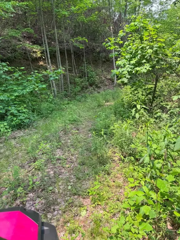 Picture 18