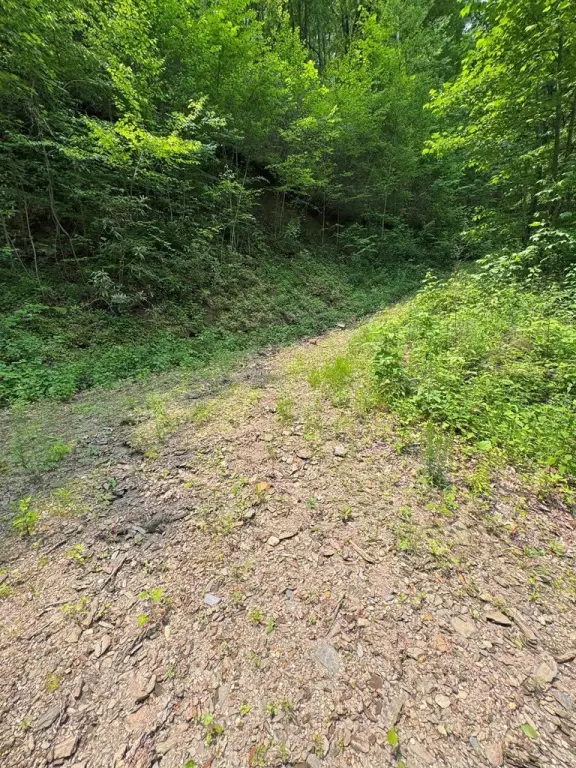 Picture 13