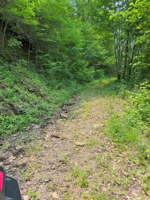 Picture 14