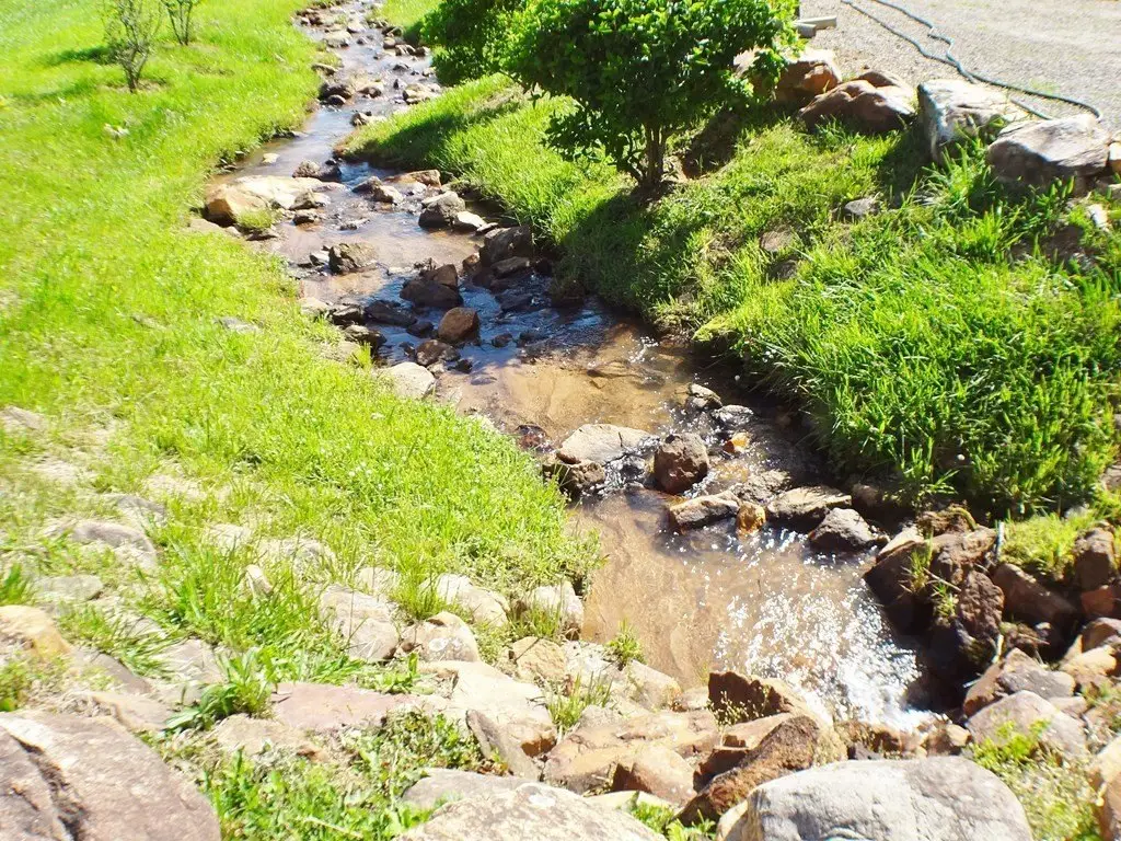 Picture 5