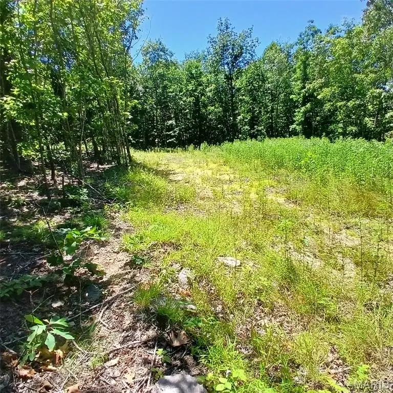 Picture 18