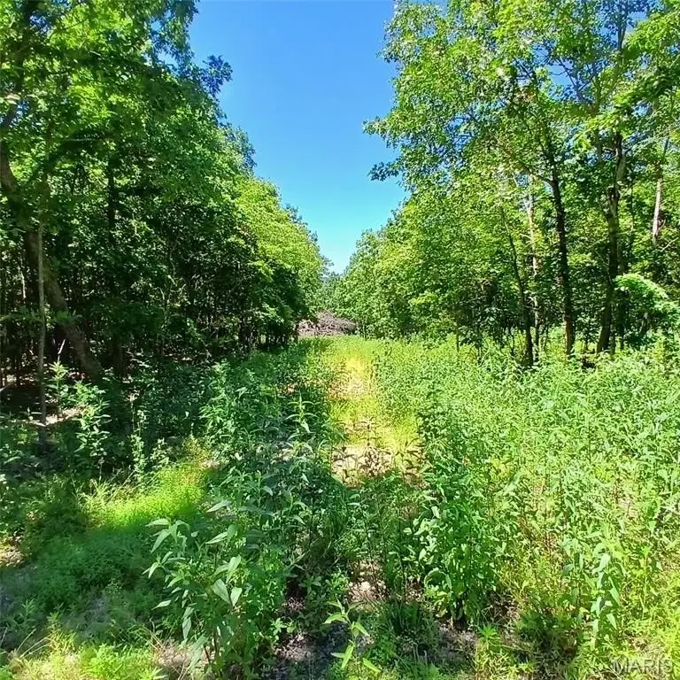 Picture 20