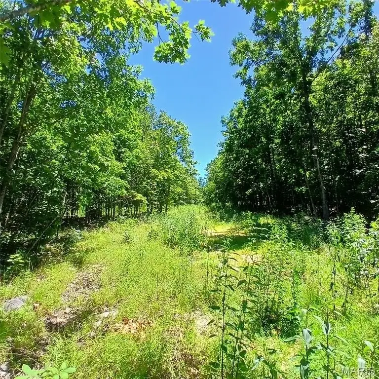 Picture 9