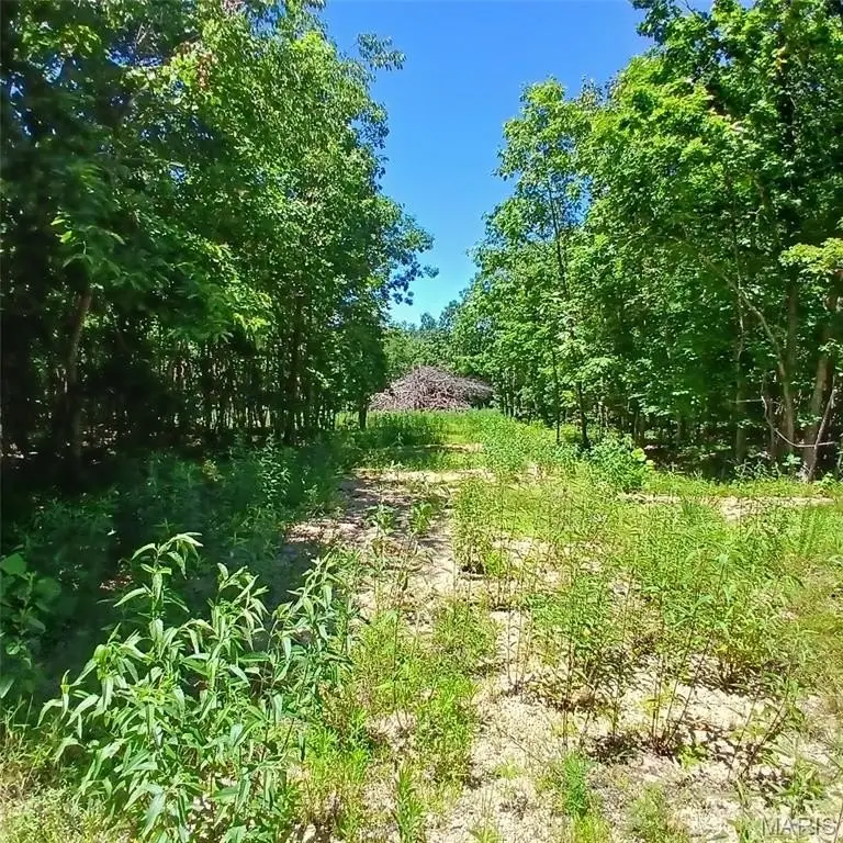 Picture 7
