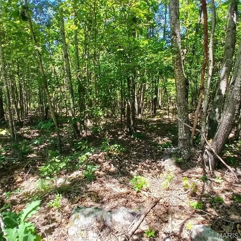 Picture 17