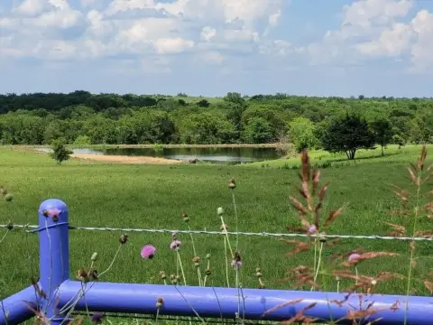 Unimproved Land in Coolidge, Texas