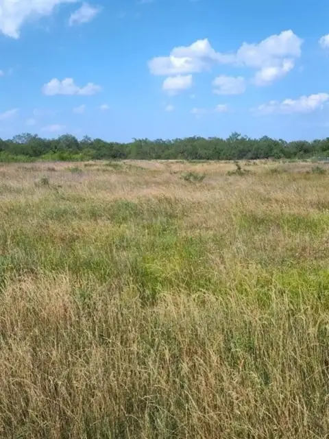 Wortham, TX Land For Sale