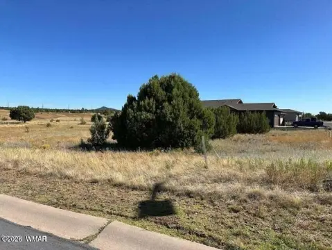 Residential Land in Show Low