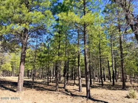 Land in Happy Jack, AZ