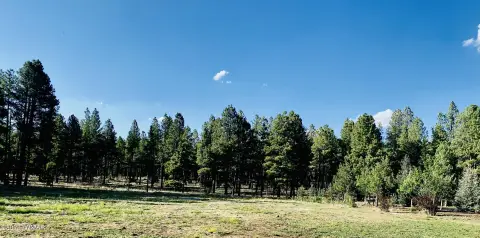 Pinetop Land in Sierra Springs