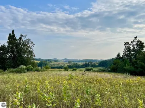 Wooded Agricultural Land