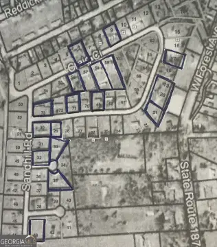 Homerville, GA Subdivision with Mobile Homes