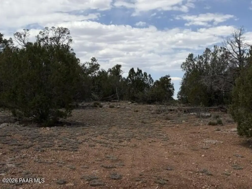 Picture 8