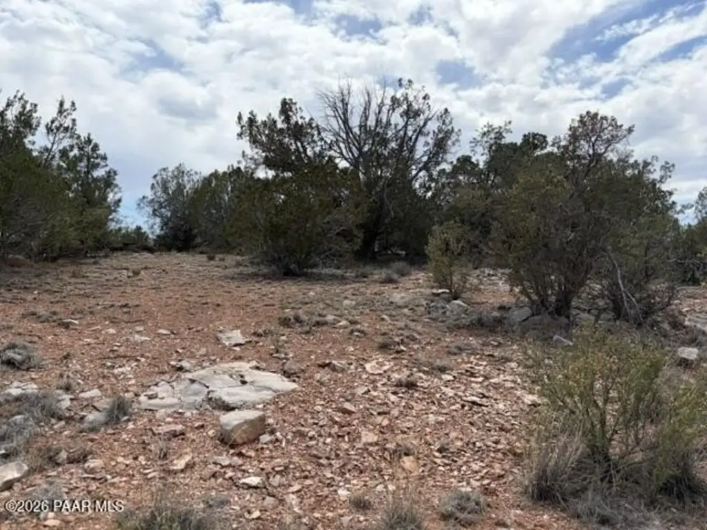 Picture 11