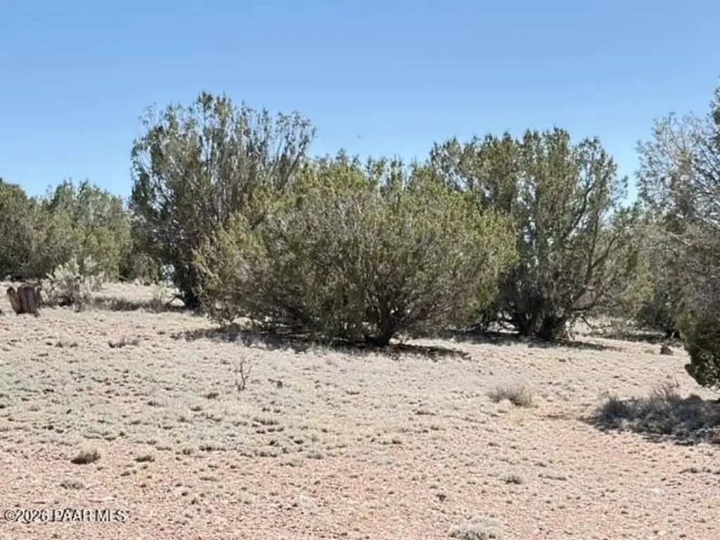 Picture 32