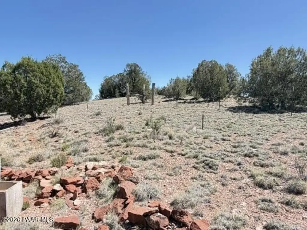 Picture 31