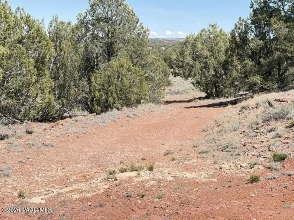 Picture 42