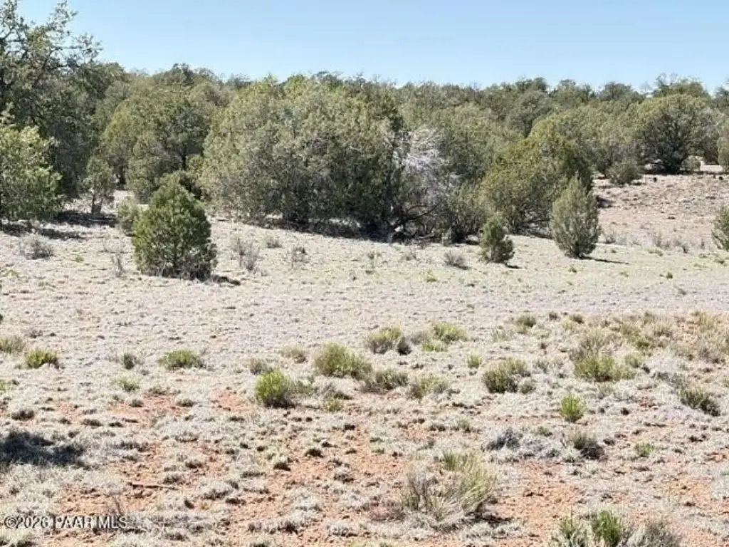 Picture 33