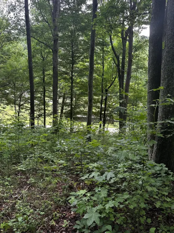 Picture 3