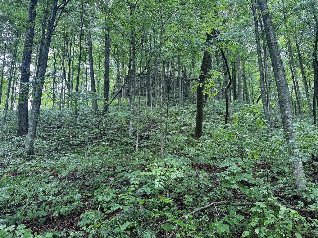 Picture 15