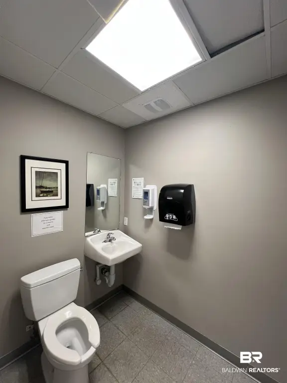 Picture 19
