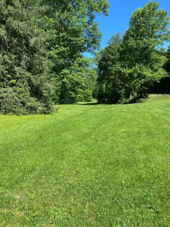 Picture 8