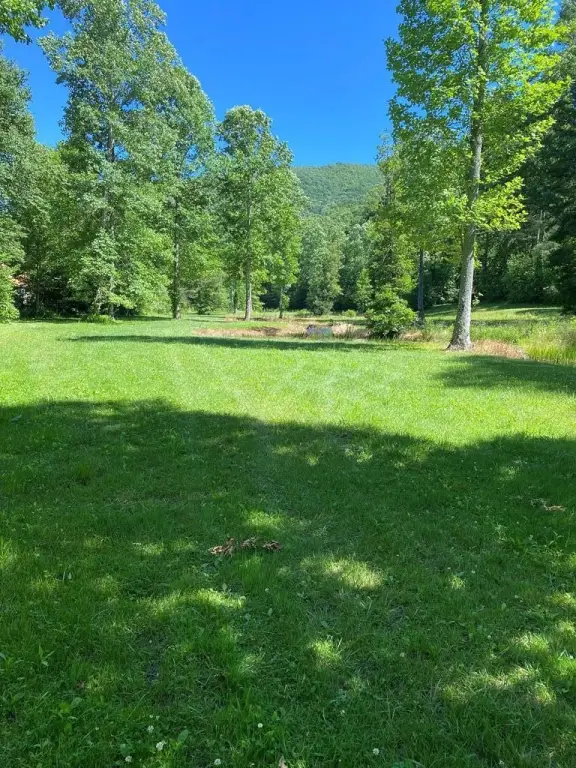 Picture 2