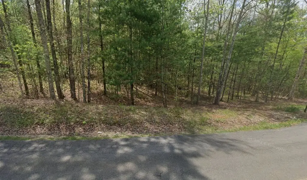 Picture 3