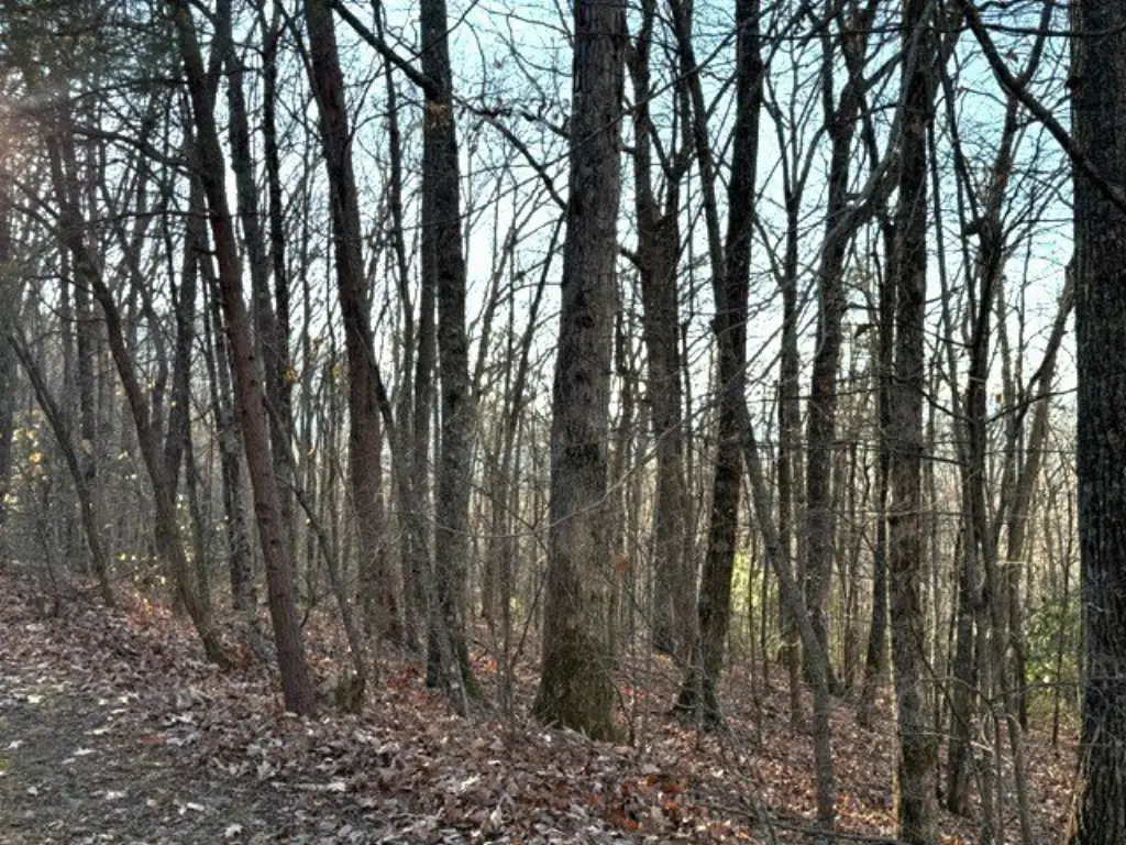 Picture 14