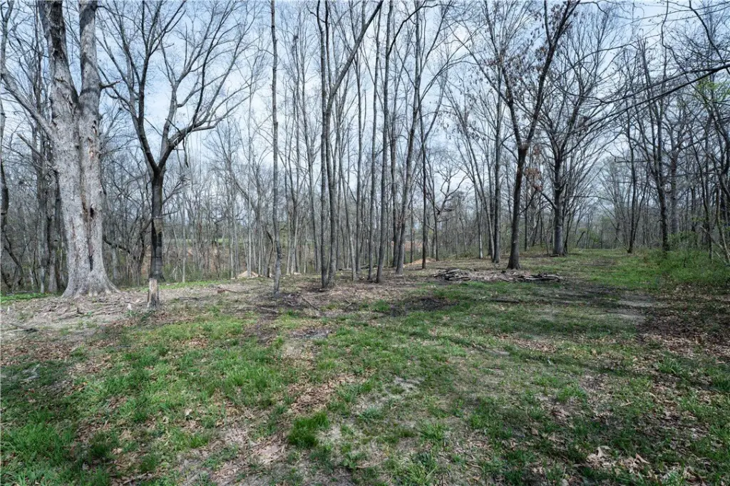 Picture 24