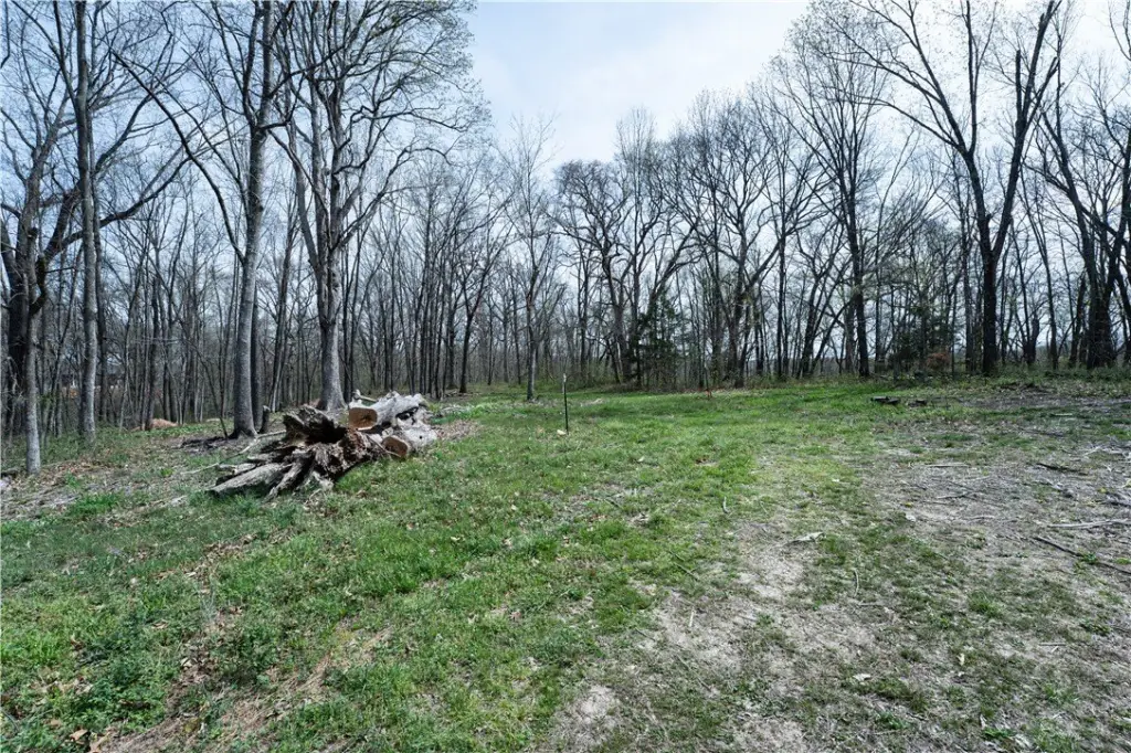 Picture 22