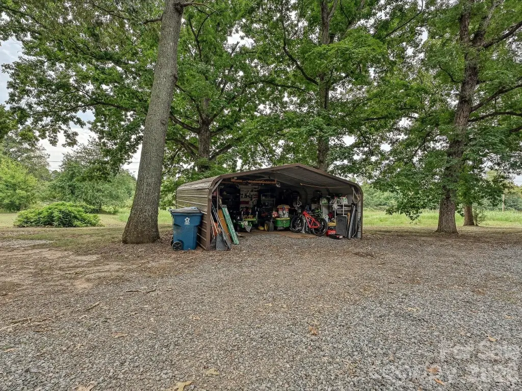 Picture 19